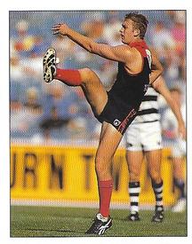 1995 Select AFL Stickers #159 David Neitz Front